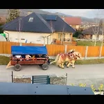 Pod Strzecha W Beskidach