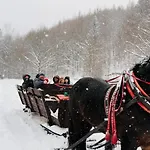 Pod Strzecha W Beskidach