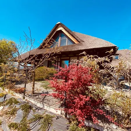 Villa Pod Strzecha W Beskidach Bierna