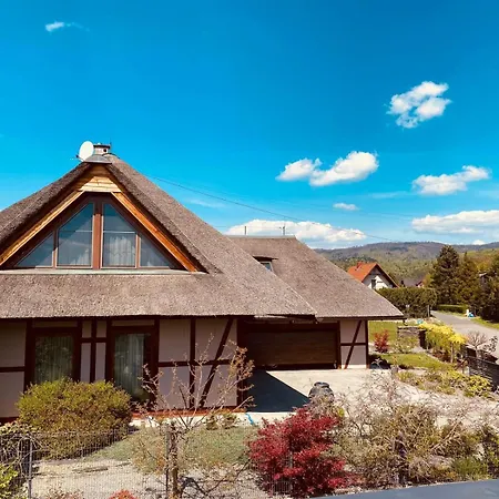 Pod Strzecha W Beskidach Bierna