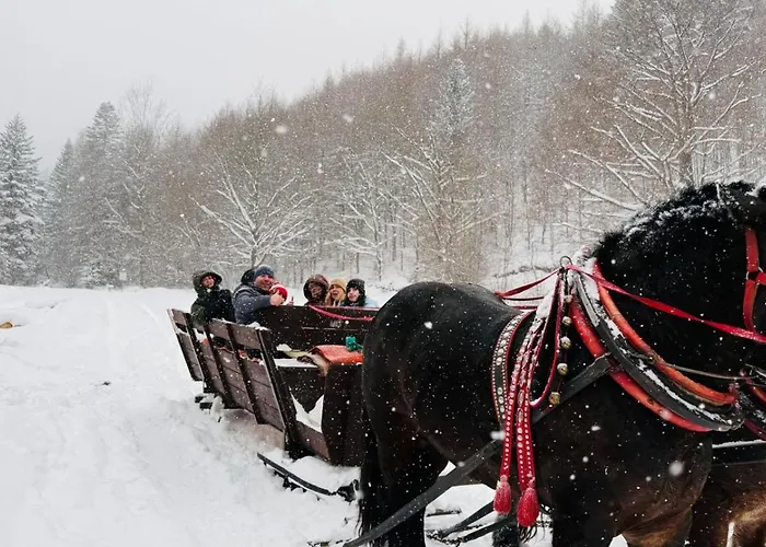 Pod Strzecha W Beskidach